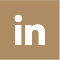 Icona Linkedin